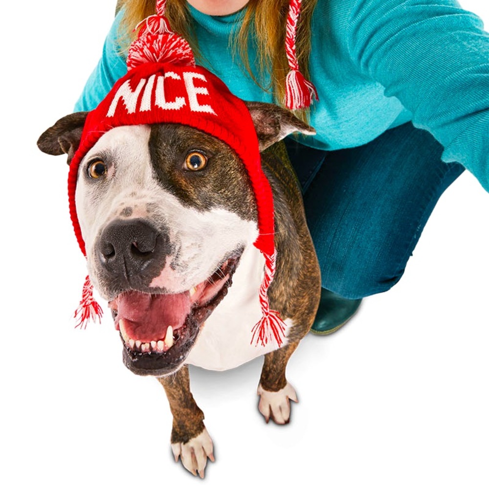 Time for Joy Reversible “Naughty & Nice” Dog Hat🐶